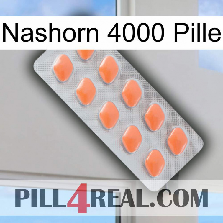 Rhino 4000 Pill 26